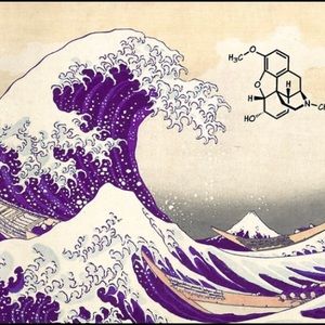 Meet your Posher, Benjamin